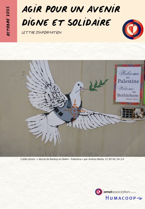 Newsletter Amel-Humacoop Octobre 2025